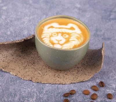 Dream Hot Mocha